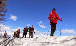 IMG 71522