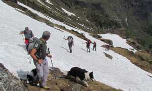 IMG 80891