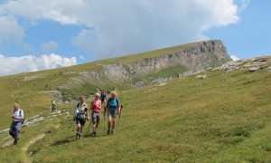 IMG 94731