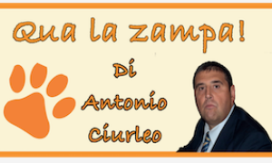 ciurleo