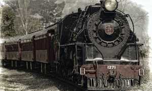 locomotore